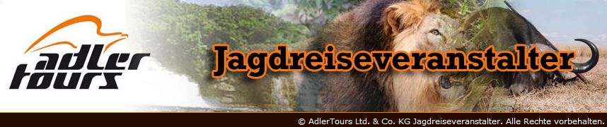 Adler tours